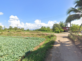  Grundstück zu verkaufen in Lom Sak, Phetchabun, Nong Khwai, Lom Sak, Phetchabun