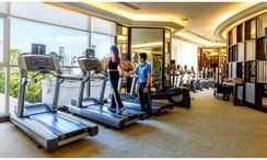 图片 3 of the Communal Gym at Samana Hills