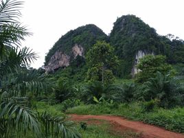  Grundstück zu verkaufen in Mueang Krabi, Krabi, Khao Thong, Mueang Krabi, Krabi