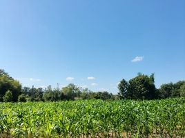  Land for sale in Chiang Kham, Phayao, Ang Thong, Chiang Kham