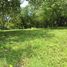  Land for sale in Guanacaste, Hojancha, Guanacaste