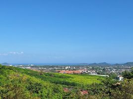 ขายที่ดิน ใน เมืองภูเก็ต ภูเก็ต, วิชิต