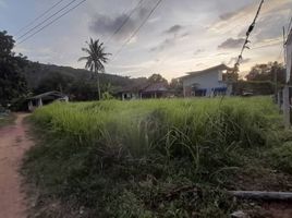  Grundstück zu verkaufen in Ko Chang, Trat, Ko Chang, Ko Chang, Trat