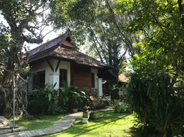 3 Schlafzimmer Haus zu verkaufen in Mueang Lamphun, Lamphun, Umong, Mueang Lamphun