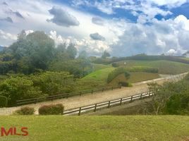  Land for sale in Colombia, Medellin, Antioquia, Colombia