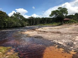 2 Schlafzimmer Haus zu verkaufen in Presidente Figueiredo, Amazonas, Presidente Figueiredo, Presidente Figueiredo, Amazonas