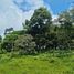  Grundstück zu verkaufen in Guacimo, Limon, Guacimo, Limon, Costa Rica