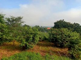  Land for sale in Sai Khao, Phan, Sai Khao