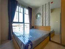 1 Schlafzimmer Wohnung zu vermieten im Nue Noble Centre Bang Na, Bang Na