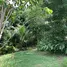  Land for sale in Thep Krasattri, Phuket, Thep Krasattri, Thalang