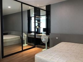 1 Bedroom Condo for rent at Tree Condo Sukhumvit 50, Phra Khanong