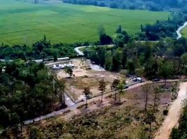  Земельный участок for sale in Сан Саи, Чианг Маи, Nong Yaeng, Сан Саи