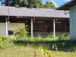  Grundstück zu verkaufen in Ban Phai, Khon Kaen, Hin Tang, Ban Phai