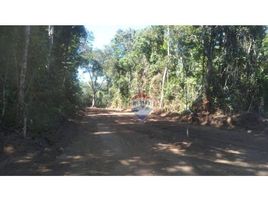  Land for sale in Bahia, Trancoso, Porto Seguro, Bahia