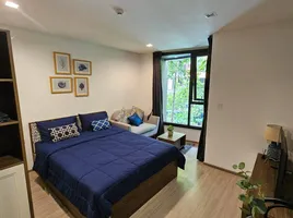 Studio Wohnung zu vermieten im THE BASE Central Phuket, Wichit