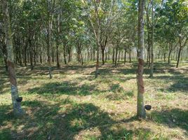  Grundstück zu verkaufen in Ban Dung, Udon Thani, Ban Tat