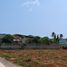  Grundstück zu verkaufen in Pran Buri, Prachuap Khiri Khan, Wang Phong, Pran Buri, Prachuap Khiri Khan, Thailand