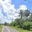  Land for sale in Loeng Nok Tha Yasothon, Kut Chiang Mi, Loeng Nok Tha