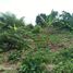  Land for sale in Wasa Amenfi East Western, Wasa Amenfi East, Western
