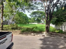  Land for sale at Theptanee Village, Dokmai