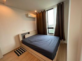 1 Schlafzimmer Appartement zu vermieten im Artemis Sukhumvit 77, Suan Luang