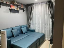 1 Schlafzimmer Wohnung zu vermieten im Artemis Sukhumvit 77, Suan Luang, Suan Luang