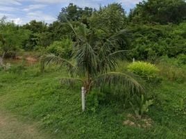  Земельный участок for sale in Pran Buri, Прачуап Кири Кхан, Khao Noi, Pran Buri