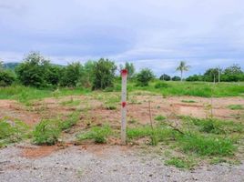  Земельный участок for sale in Pran Buri, Прачуап Кири Кхан, Wang Phong, Pran Buri