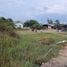  Land for sale in Laem Phak Bia, Ban Laem, Laem Phak Bia