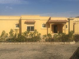 4 Schlafzimmer Villa zu verkaufen im Wadi Al Nakhil, Cairo Alexandria Desert Road