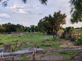  Land for sale in Kut Noi, Sikhio, Kut Noi