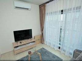 1 Schlafzimmer Wohnung zu vermieten im Life Sukhumvit 48, Phra Khanong