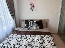 1 Schlafzimmer Wohnung zu vermieten im Plum Condo Sukhumvit 62, Bang Chak, Phra Khanong