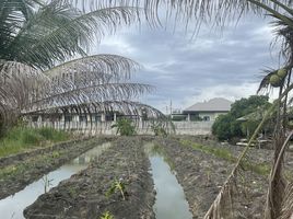 ขายที่ดิน ใน สามพราน นครปฐม, คลองใหม่, สามพราน, นครปฐม
