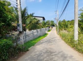  Land for sale in Phuket, Rawai, Phuket Town, Phuket