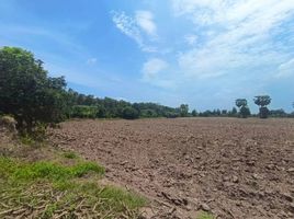  Grundstück zu verkaufen in Bang Khla, Chachoengsao, Hua Sai