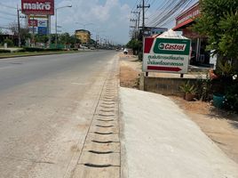  Grundstück zu verkaufen in Fang, Chiang Mai, San Sai, Fang