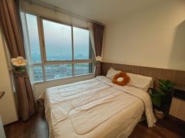 1 Bedroom Condo for rent at U Delight Ratchavibha, Lat Yao, Chatuchak