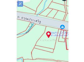  Land for sale in Non Pho, Mueang Amnat Charoen, Non Pho