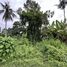  Land for sale in Ubud, Bali, Ubud, Gianyar