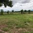  Grundstück zu verkaufen in San Carlos, Alajuela, San Carlos, Alajuela