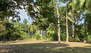 N/A Land for sale in Ang Thong, Koh Samui 