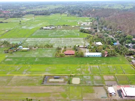 在山甘烹, 清迈出售的 土地, Rong Wua Daeng, 山甘烹