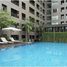 1 Bedroom Condo for rent at The Seed Musee, Khlong Tan