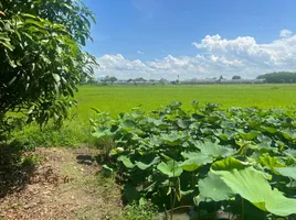  Land for sale in Rop Wiang, Mueang Chiang Rai, Rop Wiang