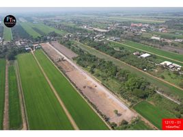  Land for sale in Bueng Bon, Nong Suea, Bueng Bon