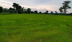 N/A Land for sale in Sam Yaek, Yasothon 