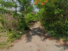  Grundstück zu verkaufen in Phatthana Nikhom, Lop Buri, Chong Sarika