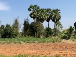  Grundstück zu verkaufen in Sikhio, Nakhon Ratchasima, Mittraphap, Sikhio