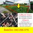  Land for sale in Khlong Sam Wa, Bangkok, Sam Wa Tawan Tok, Khlong Sam Wa